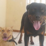 Parents de jethro